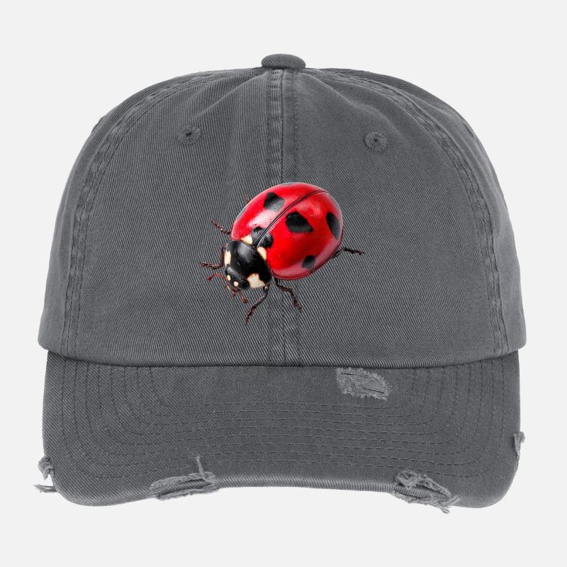 Ladybugs are also called ladybugs Flexfit Vintage Destroyed Cap