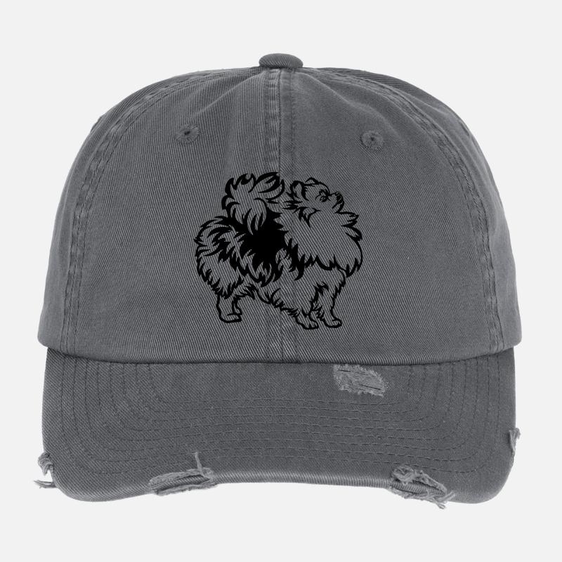 Dwarf spitz Flexfit Vintage Destroyed Cap