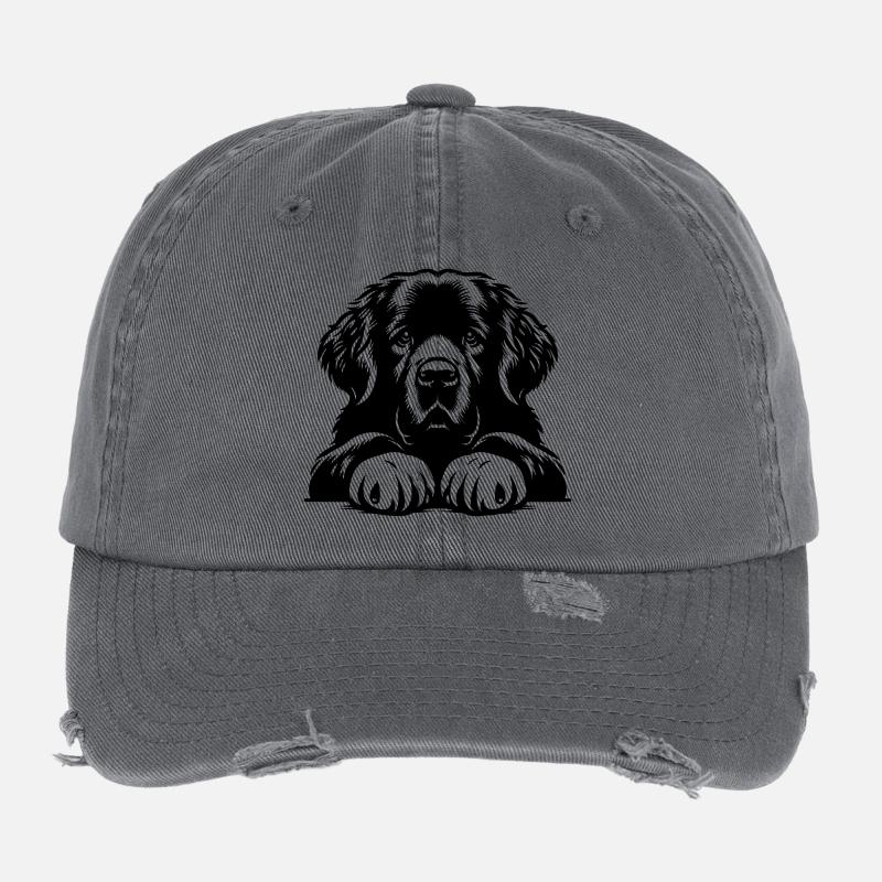 Neufundländer Flexfit Vintage Destroyed Cap