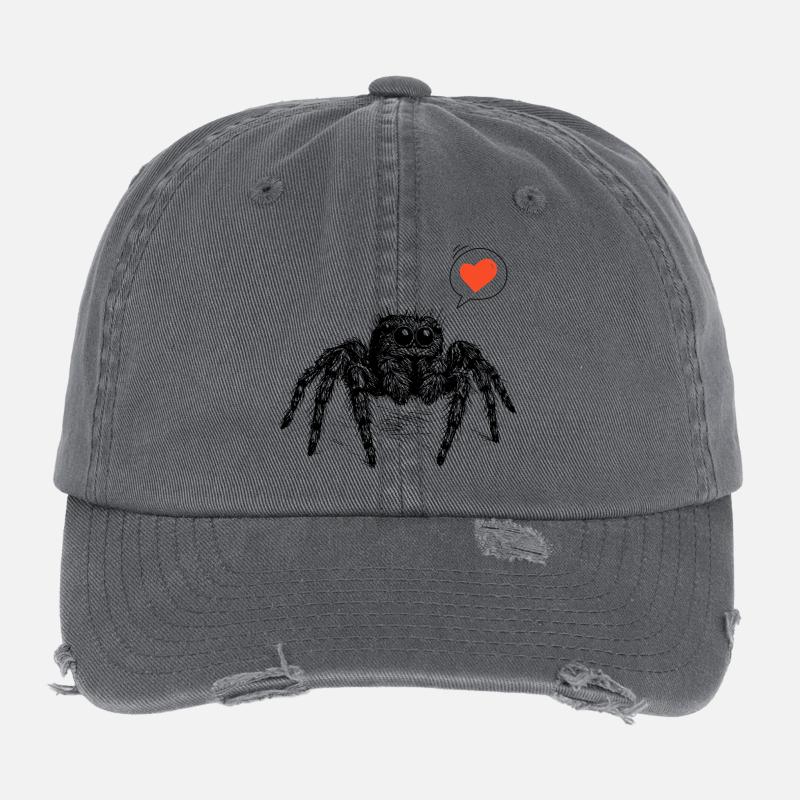 Araignée sauteuse avec le cœur Casquette vintage effet usé Flexfit