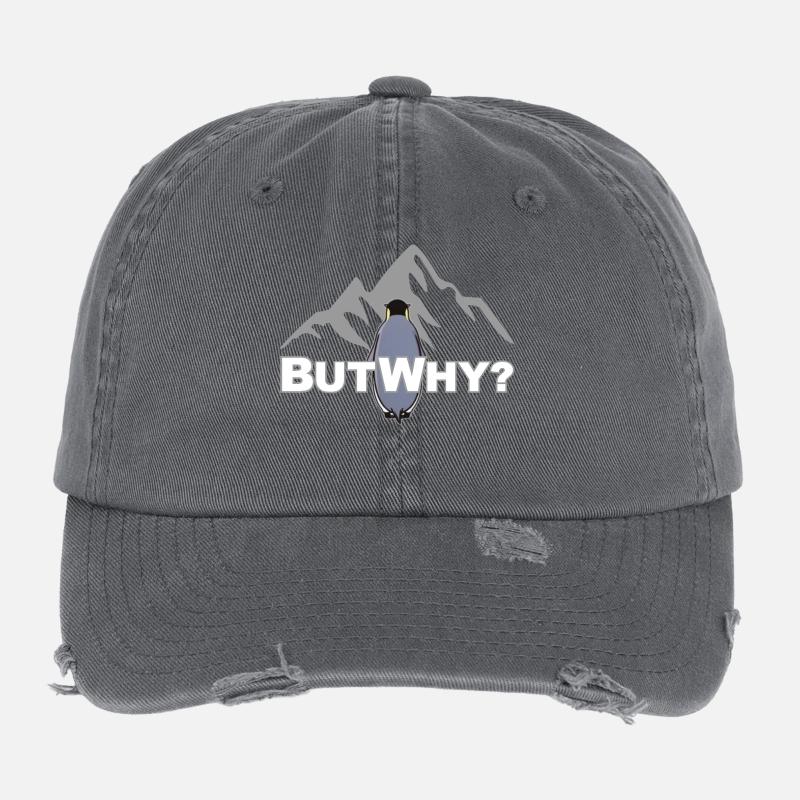 Mais pourquoi? Motivation du mème du pingouin Casquette vintage effet usé Flexfit