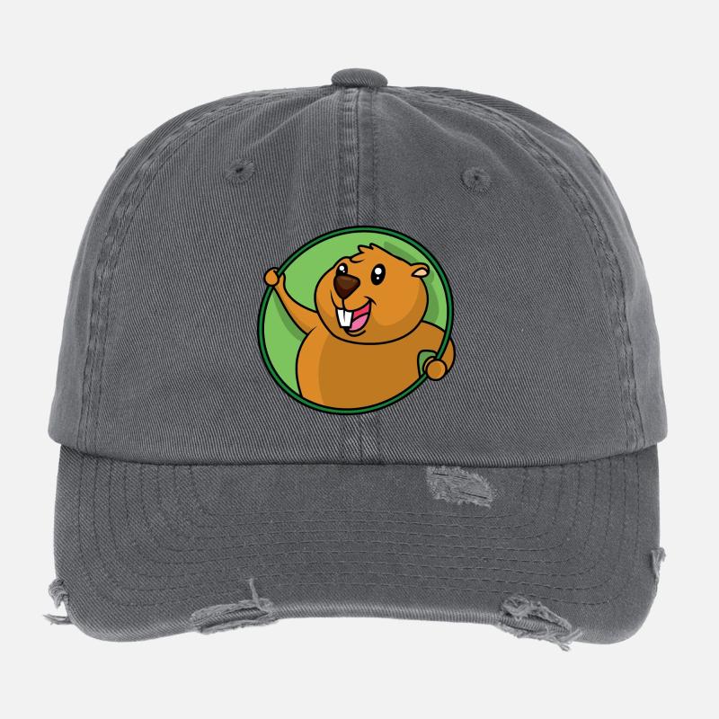 Drôle de castor Casquette vintage effet usé Flexfit