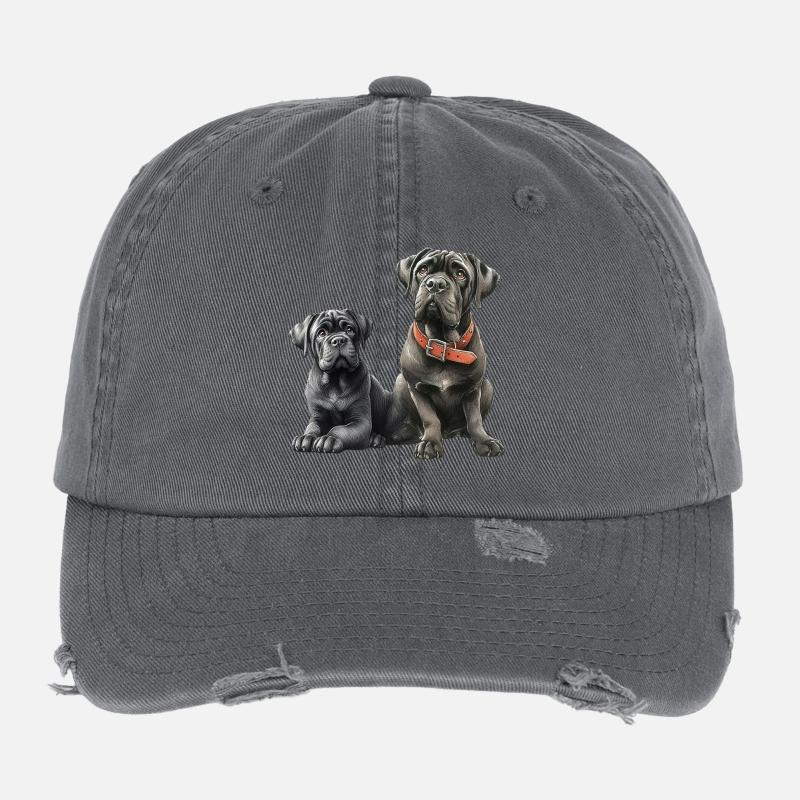 Freundschaft Flexfit Vintage Destroyed Cap