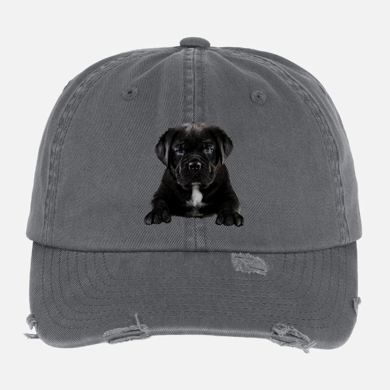 Chiot Casquette vintage effet usé Flexfit