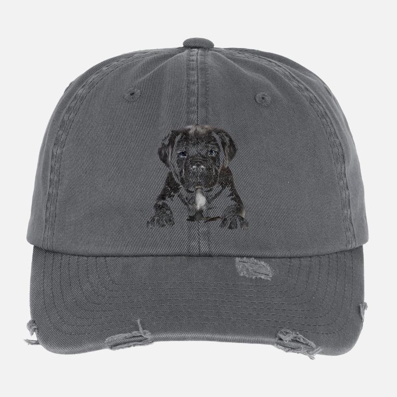 Chiot Casquette vintage effet usé Flexfit