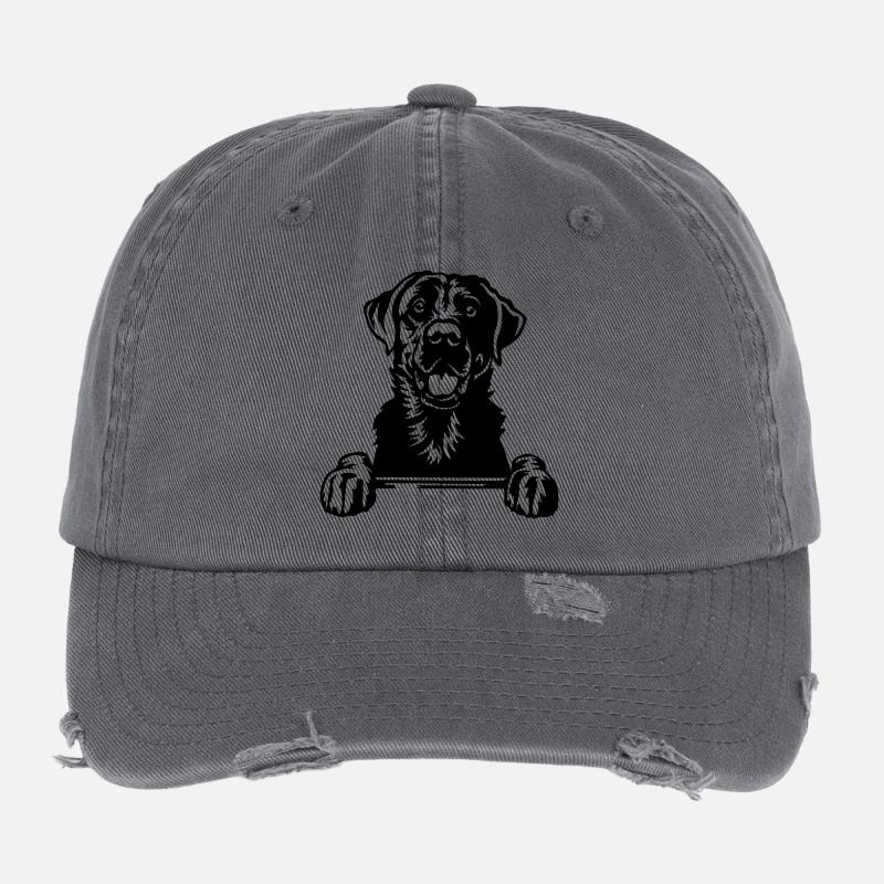 Tête du Labrador Casquette vintage effet usé Flexfit