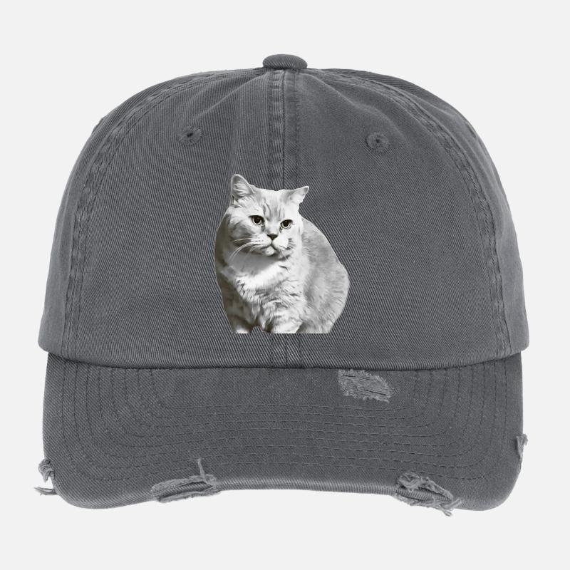 British Shorthair Chat Blanc Chat Chat Blanc Chaton Casquette vintage effet usé Flexfit