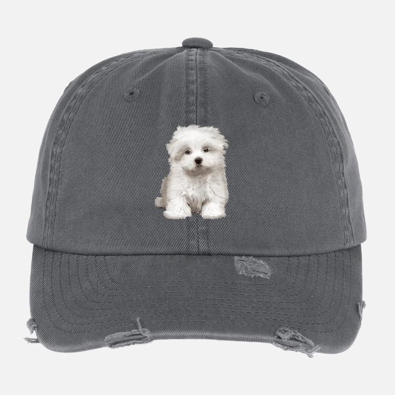 Welpe Flexfit Vintage Destroyed Cap
