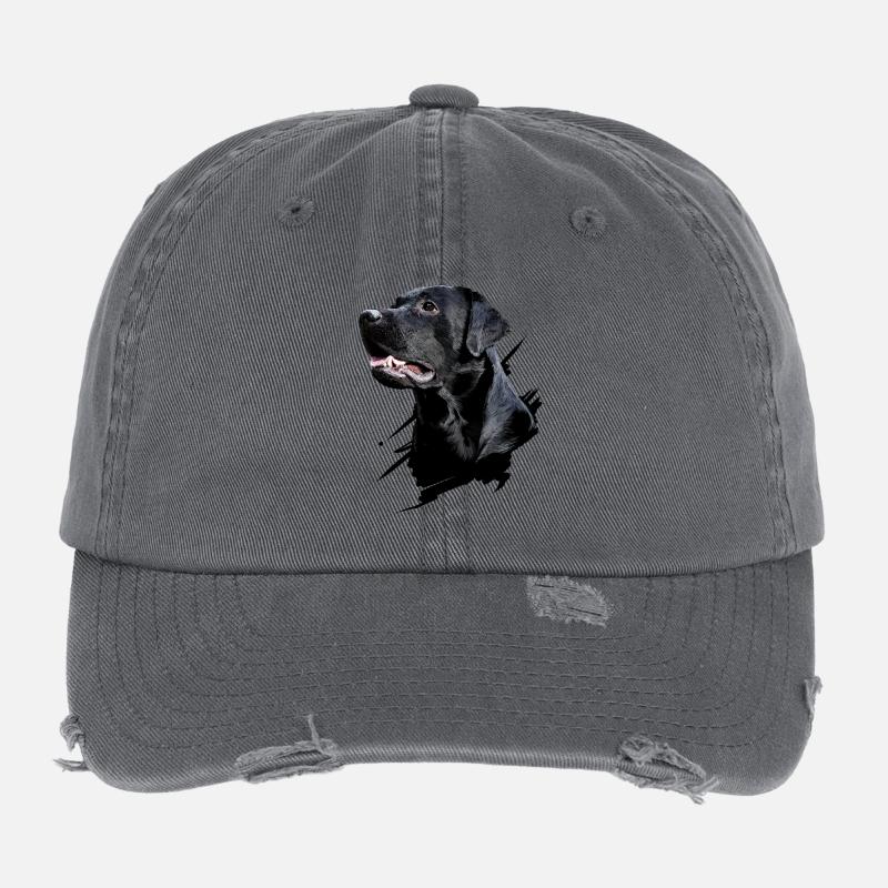 Labrador Casquette vintage effet usé Flexfit