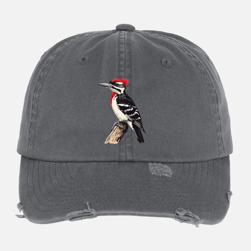 Spechte Specht Flexfit Vintage Destroyed Cap