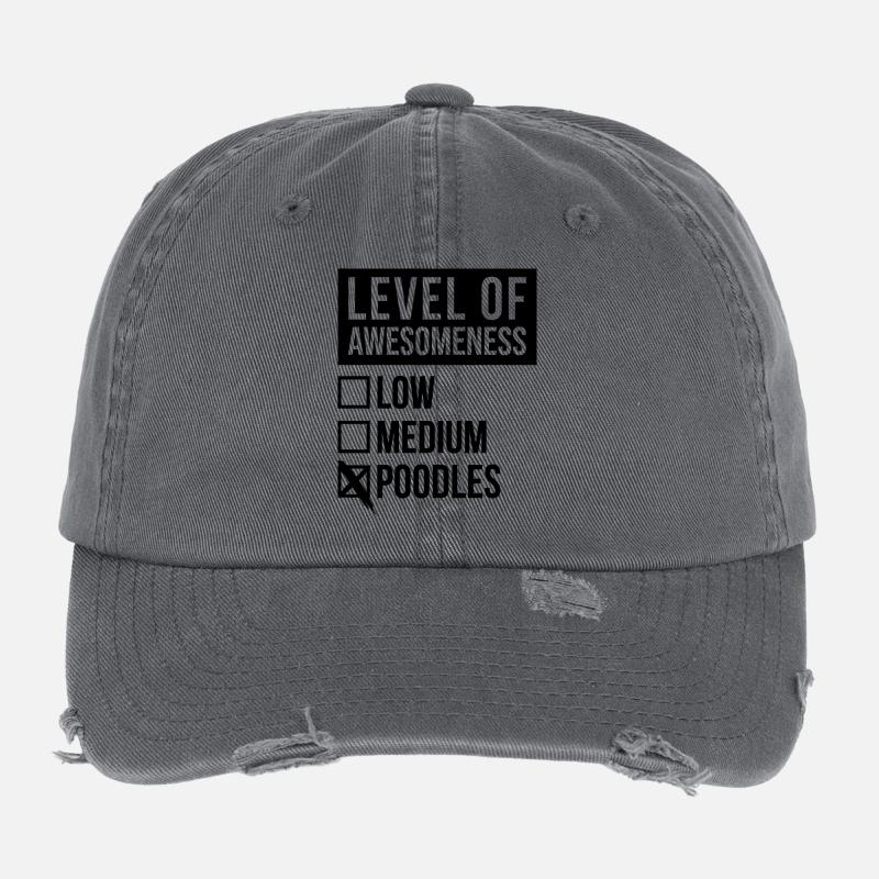 Caniche Casquette vintage effet usé Flexfit