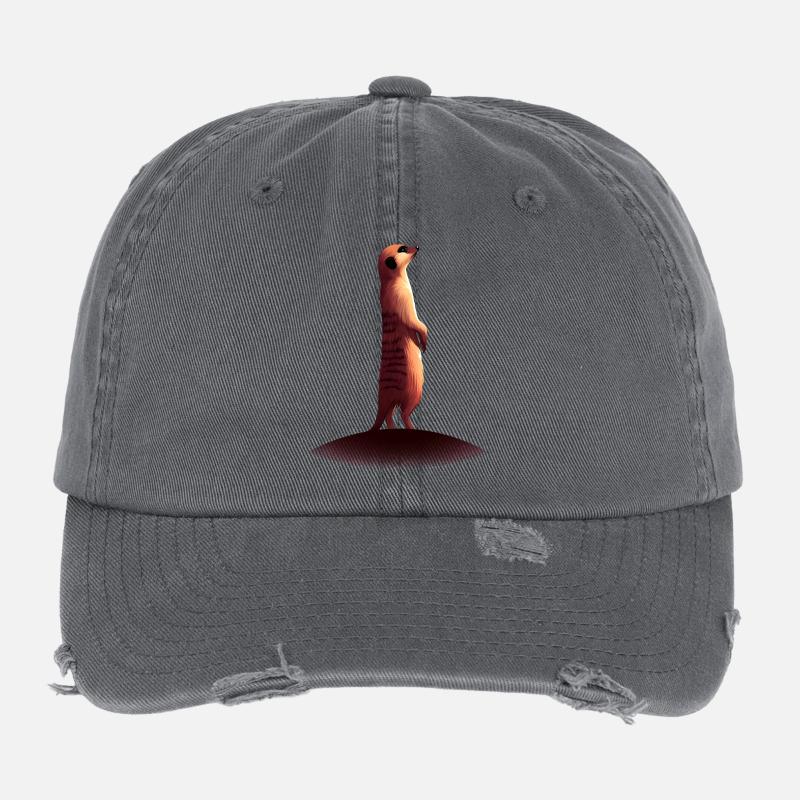 Suricate Casquette vintage effet usé Flexfit