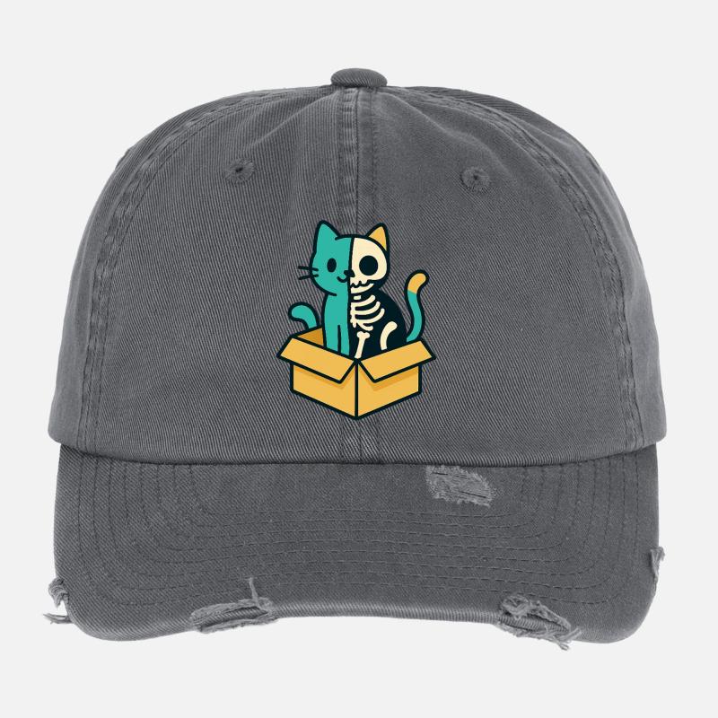 Schrödinger's Katze - Physik Design Flexfit Vintage Destroyed Cap