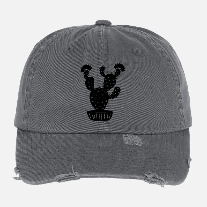 Pot de fleurs avec cactus Casquette vintage effet usé Flexfit