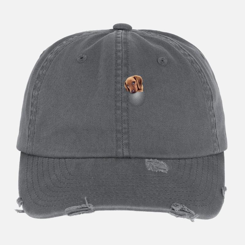 pocket DOG2 Flexfit Vintage Destroyed Cap