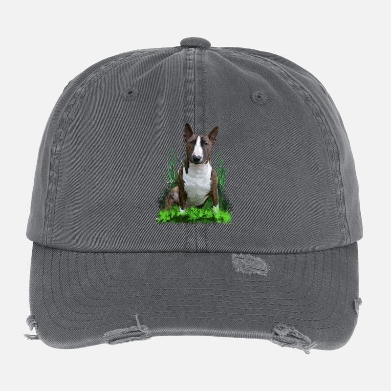 Bullterrier Flexfit Vintage Destroyed Cap