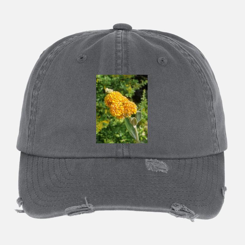 Buddleia, Schmetterlingsstrauch oder Sommerflieder 'Sungold' Flexfit Vintage Destroyed Cap