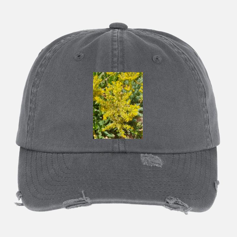 Goldmoos-Mauerpfeffer auch Moos-Mauerpfeffer Sedum acre Flexfit Vintage Destroyed Cap