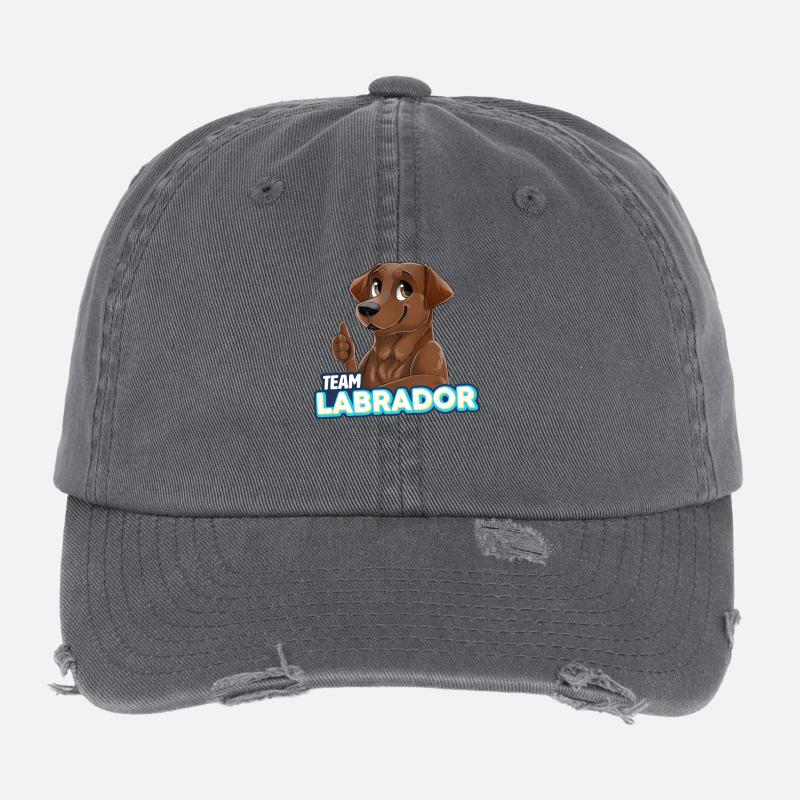 TEAM Labrador - Chocolat Casquette vintage effet usé Flexfit