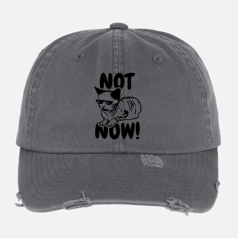 Pas maintenant Casquette vintage effet usé Flexfit