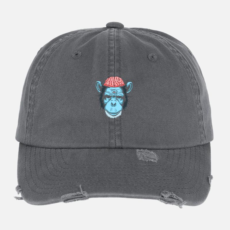 Cerveau de chimpanzé Casquette vintage effet usé Flexfit