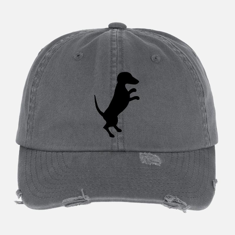 Teckel Casquette vintage effet usé Flexfit