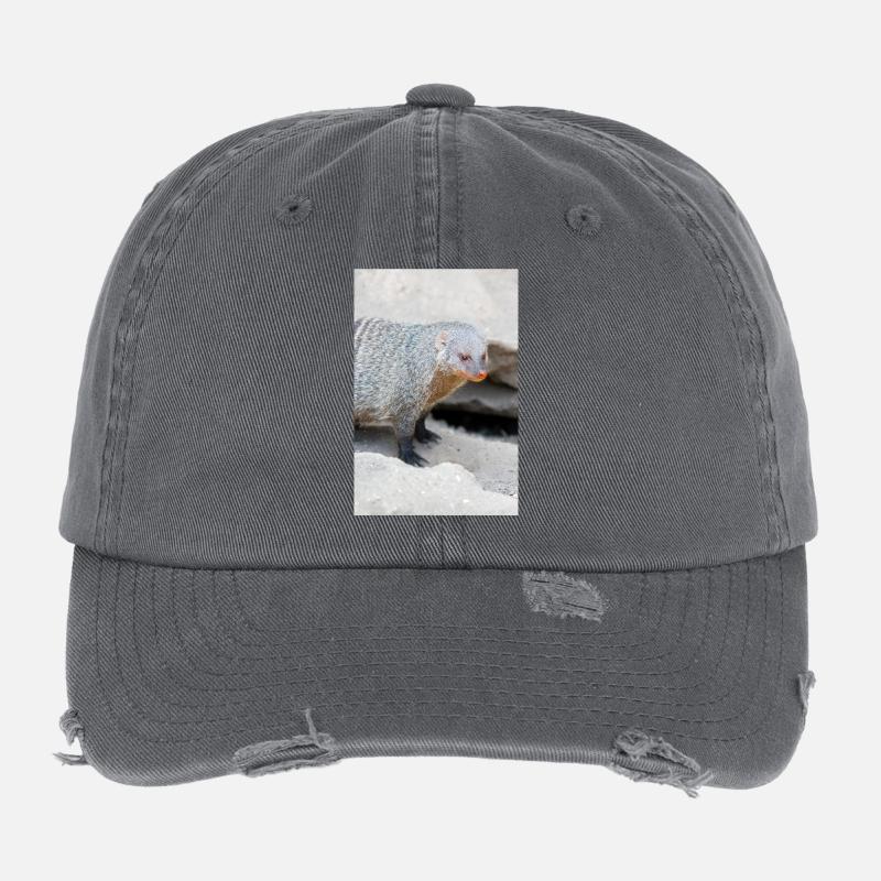 Gebänderte Manguste oder Zebramanguste Flexfit Vintage Destroyed Cap