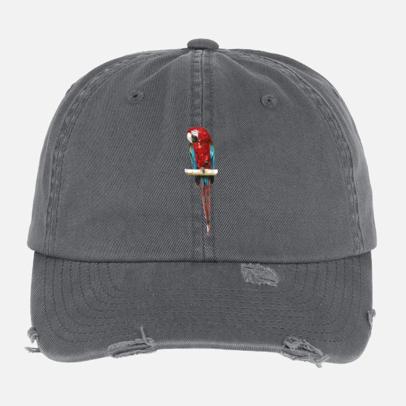 Ara Flexfit Vintage Destroyed Cap