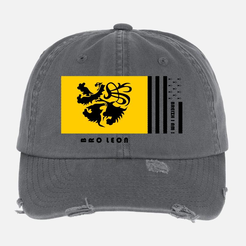 Bretagne - Blason Pays de Léon Casquette vintage effet usé Flexfit