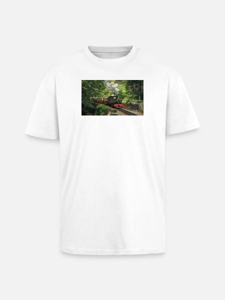 Ffestiniog Idyll - Unisex Oversized Heavyweight T-shirt - white