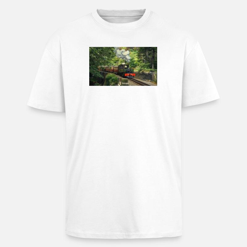 Ffestiniog Idyll - Unisex Oversized Heavyweight T-shirt - white