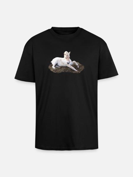 Sleeping foal on hay - Unisex Oversized Heavyweight T-shirt - black