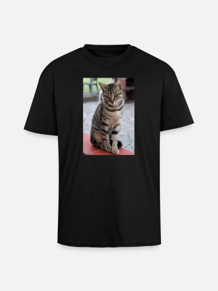 Chat Chaton Poster Chat Poster - T-shirt unisexe oversize épais - noir