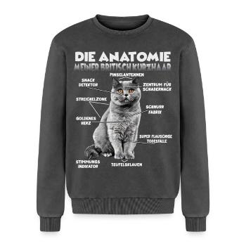 Britisch Kurzhaar Geschenk für Katzenliebhaber - Relaxed Unisex Premium Acid-Washed Sweatshirt - Schwarz Acid Wash - Vorne - AI Model Female 172 dark (172cm) & AI Model Male 178 light (178cm)