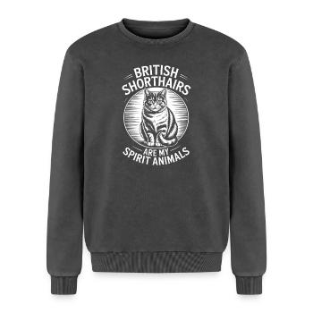 Britisch Kurzhaar Sprüche Lustiges Katze Geschenk  - Relaxed Unisex Premium Acid-Washed Sweatshirt - Schwarz Acid Wash - Vorne - AI Model Female 172 dark (172cm) & AI Model Male 178 light (178cm)