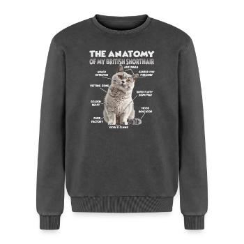  Britisch Kurzhaar T| Besitzer einer Britisch Kurz - Relaxed Unisex Premium Acid-Washed Sweatshirt - Schwarz Acid Wash - Vorne - AI Model Female 172 dark (172cm) & AI Model Male 178 light (178cm)