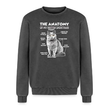 Britisch Kurzhaar T | Britisch Kurzhaar Katzen  - Relaxed Unisex Premium Acid-Washed Sweatshirt - Schwarz Acid Wash - Vorne - AI Model Female 172 dark (172cm) & AI Model Male 178 light (178cm)