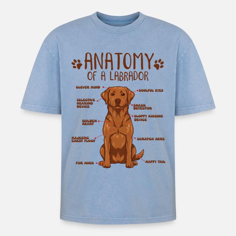 Anatomie eines Fox Red Labradors - Oversized Unisex Premium Acid-Washed T-Shirt - Blau Acid Wash