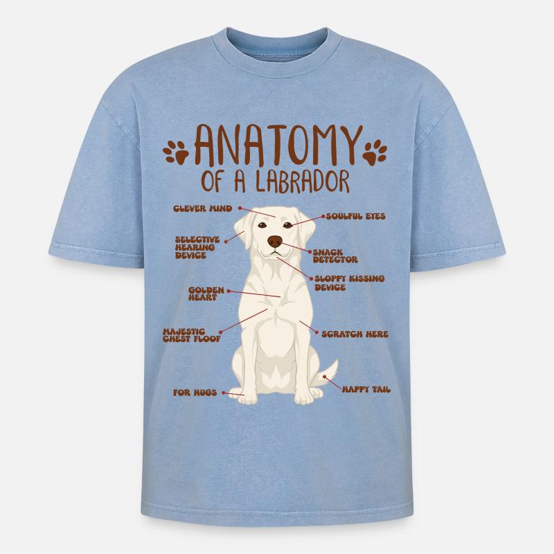 Anatomie eines white Labradors - Oversized Unisex Premium Acid-Washed T-Shirt - Blau Acid Wash