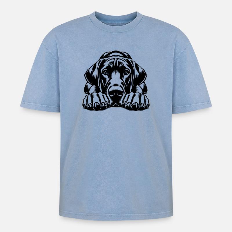 Great Dane - Oversized Unisex Premium Acid-Washed T-Shirt - acid washed blue