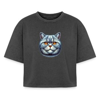 British Shorthair Cat - Boxy Women's Premium Acid Washed T-Shirt - acid washed black - Front - AI Model Female 172 light (172cm)