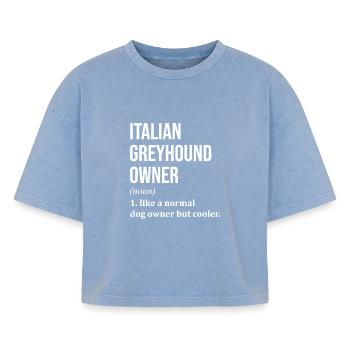 Greyhound - Boxy Women's Premium Acid Washed T-Shirt - acid washed blue - Front - AI Model Female 172 light (172cm)