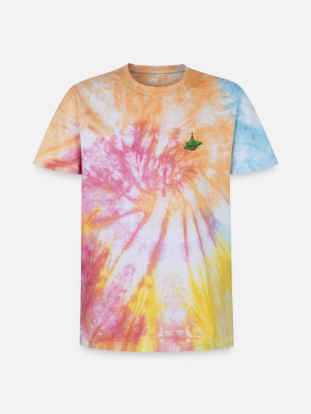 Plante d’intérieur - T-shirt tie-dye premium unisexe - arc-en-ciel spirale