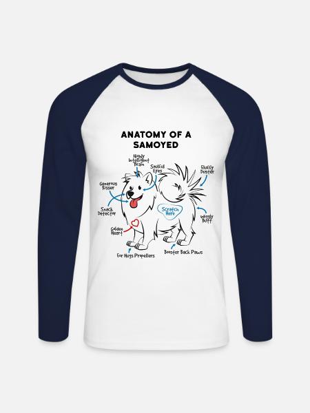 Anatomie d'un chien Samoyède - T-shirt baseball manches longues Homme - blanc/marine