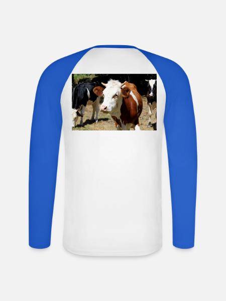 Affiche de vache - T-shirt baseball manches longues Homme - blanc/bleu royal