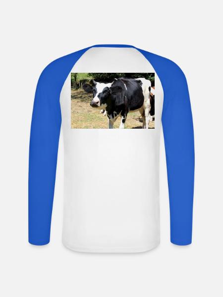Affiche de vache - T-shirt baseball manches longues Homme - blanc/bleu royal