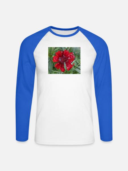 Rote Kleinblattblüte, bedeckt mit Wassertropfen, - Unisex Baseballshirt langarm - Weiß/Royalblau