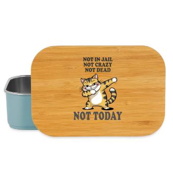 Nicht heute lustige Katze Sarkasmus Design - Lunch Box - Hellblau - Vorne
