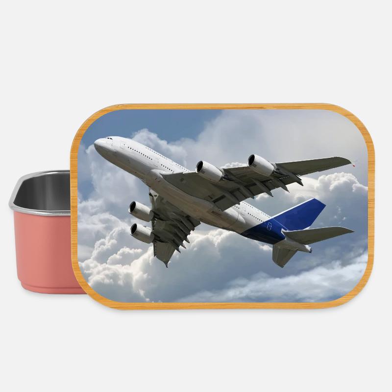 A380 - Lunch Box - Hellrosa