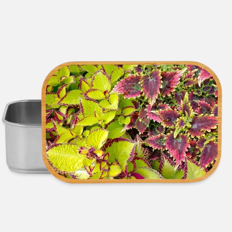 Feuilles de jeu couleur Coleus / Ortie - Boîte à goûter - argent
